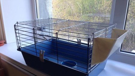 Guinea pig cages: pagpili at pag-aayos