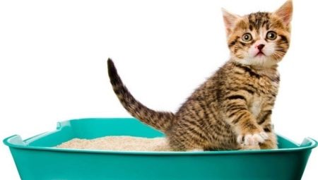 Japanese cat litter