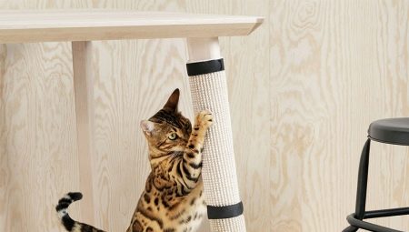 How to wean the cat to tear wallpaper?