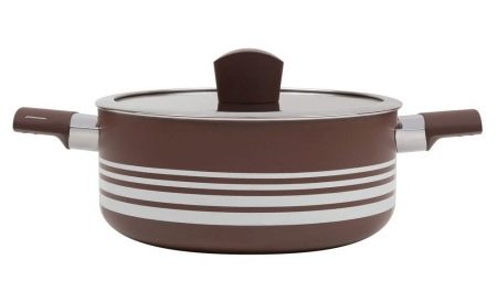 Pots Polaris: pros, cons at pagpili