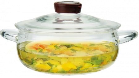 Glass pans: types, features of choice and use