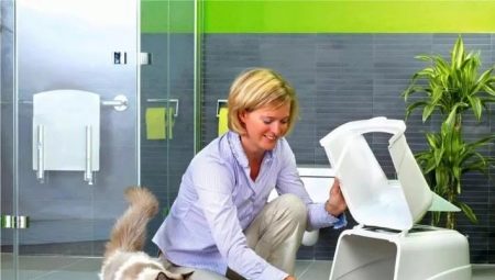Closed toilets for cats and cats: description, selection and use