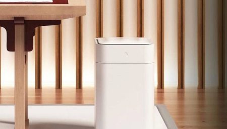 Xiaomi Bin Review