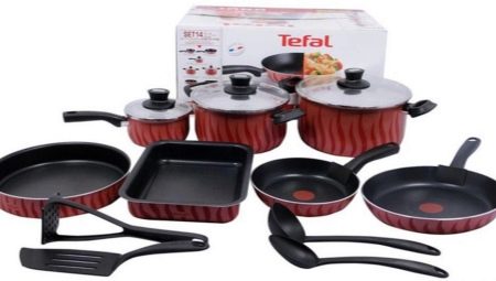 Tefal dishes: iba't ibang mga modelo