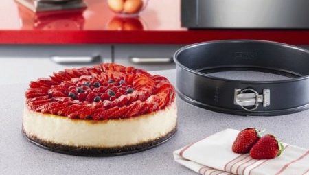 Recommendations for choosing a split mold for the cake