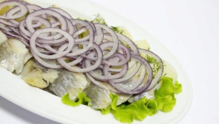 Herring shoots: mga uri at rekomendasyon para sa pagpili