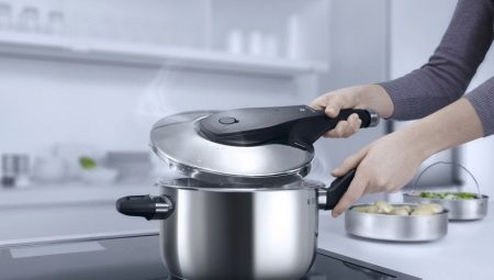 Ang mga cooker ng presyon na gawa sa hindi kinakalawang na asero na gawa sa Russia