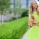 Salad dress - isang imahe na may mga tala ng pagiging bago ng tagsibol