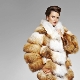 Coat of fox