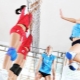 Mga sapatos ng volleyball