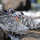 Editex Sneakers
