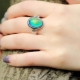 Ring Chameleon
