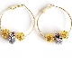 Pandora Earrings