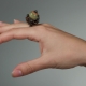 Onyx ring