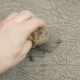 Effective means and methods for removing stains from the handle with leatherette