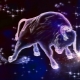 What to give a man Taurus birthday?