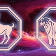 Characteristics of men Aries-Tigris