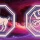 Aries-Monkey: the characteristics of men and their compatibility in love