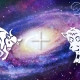 Characteristics of men Taurus-Bull
