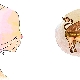 Characteristics of women Taurus-Rat