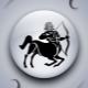 Characteristics of male Sagittarius, born in the year of the Boar