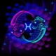 Characteristics of Pisces born in the year of the Horse