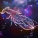 Characteristic zodiac sign Cancer