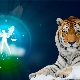 Lalaki Libra-Tigre: katangian at pagiging tugma