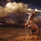 Men Sagittarius: katangian ng mga katangian sa pag-aasawa at pag-ibig, pagpili ng propesyon at talismans