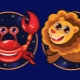 Border mark of Cancer or Leo: characteristics and personality traits