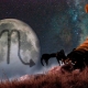 Scorpio compatibility sa Scorpio sa iba't ibang larangan ng buhay