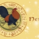 Female Cancer-Rooster: Characteristics and Compatibility with Other Signs
