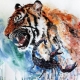 Scorpio Woman Born in the Year of the Tiger: Characteristic and Compatibility