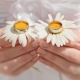 What is given to a wife, husband or friends for the 9th wedding anniversary?
