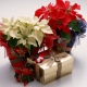 What to give a colleague a wedding from the team?