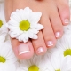 How to soften the toenails to make it easier to cut?