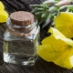 Evening primrose oil: composition, benefits and harms, options for use