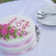 Single Tier Wedding Cake - Best Ideas and Tips for Choosing