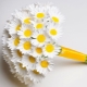 Bridal bridal bouquet of daisies: ideas of composition and subtlety of design