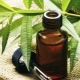 Properties and recommendations for the use of tea tree oil from nail fungus