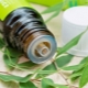 The subtleties of applying tea tree oil for nails
