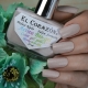 Bio gel varnishes: features of the coating and differences