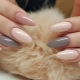 Nail decoration with the shape of a sharp almond and the technique of their creation