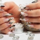 Ideas for the design of French manicure on sharp nails
