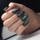 Manicure cat eye sa green shades