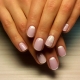 Mga tampok ng French manicure gel varnish sa maikling mga kuko