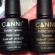 Base and top: what is it and what is the first applied before a manicure?