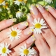 How to draw flowers on nails: disassemble step by step