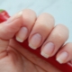 The structure of the nail: the scheme, description and composition of the plate