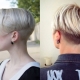 Haircut bob on the leg: features and types